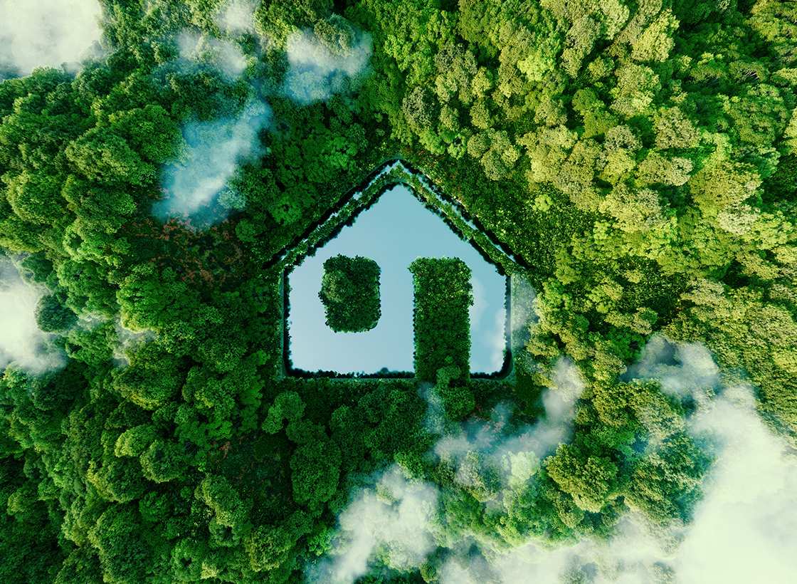 Magazin Beitrag PEFC Nachhaltig Wohnen Web