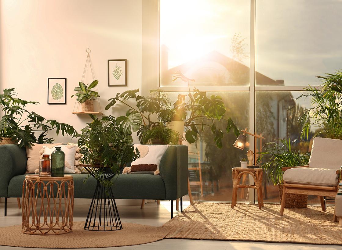 Magazin Beitrag Wärmeschutztüren Sonneneinstrahlung